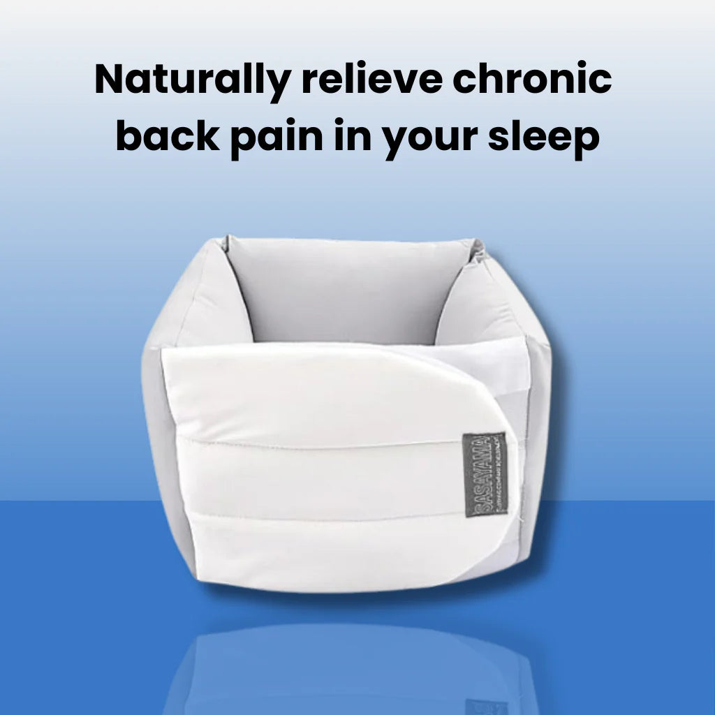 jarizon - back support pillow